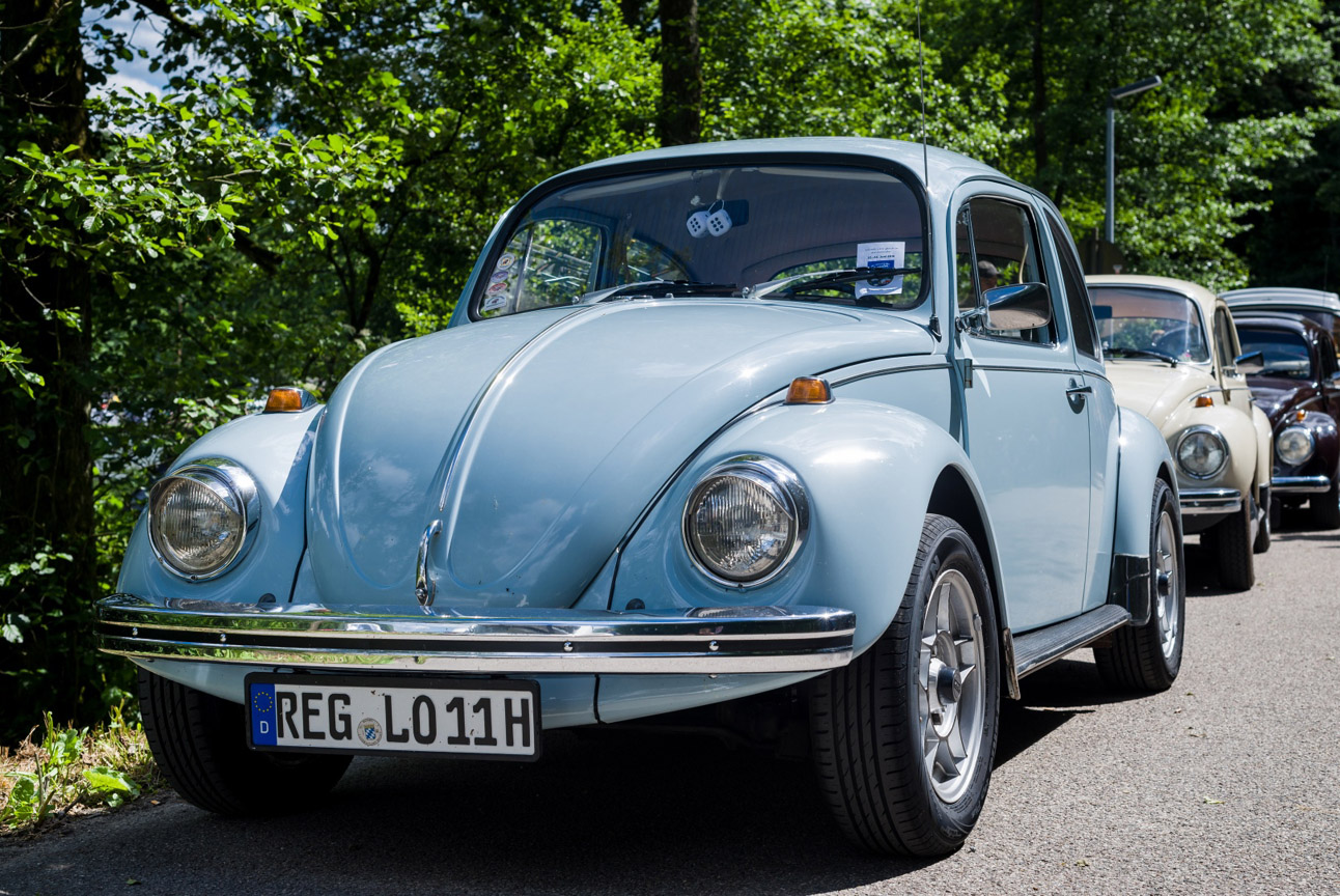 Kaefer_Bayerwald_0010