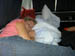 PICT0341