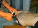 PICT0387