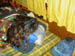 PICT0415