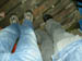 PICT9333