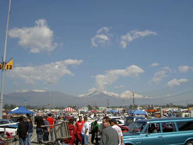 PICT7561