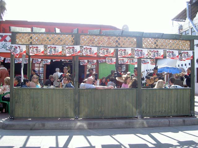 PICT7878