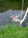 PICT2404