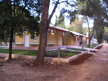 CIMG0110