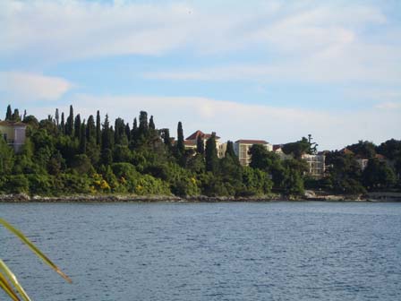 CIMG0140