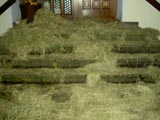 PICT4094