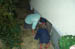 CIMG4087