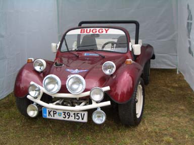 CIMG1411
