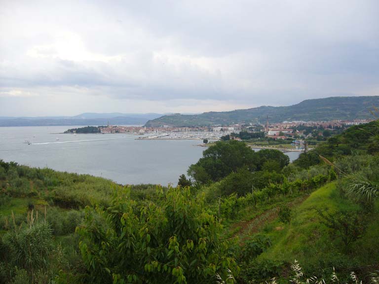 P1020580