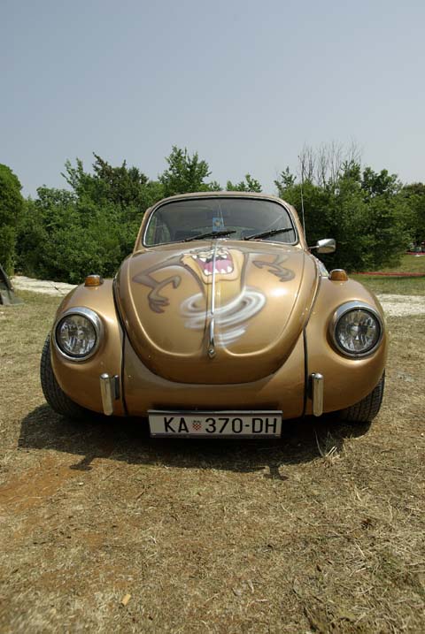2007 rovwinj411