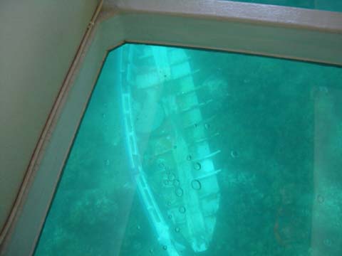 CIMG1383