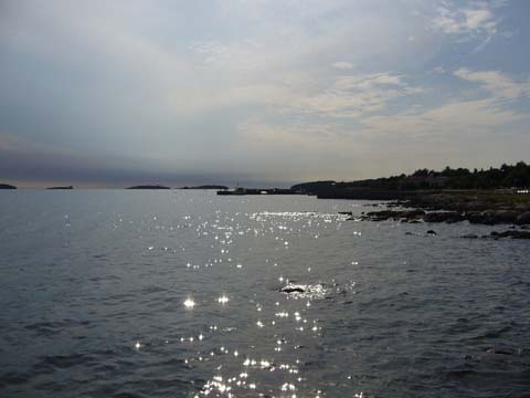 P1020531