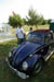 2007 rovwinj151