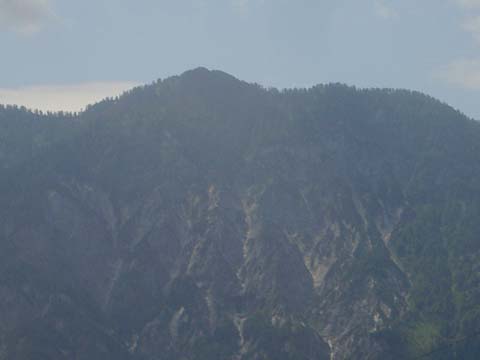PICT5198