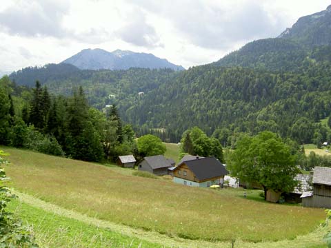 PICT5235