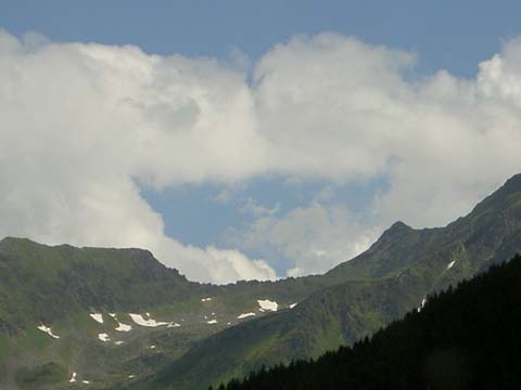 PICT5254