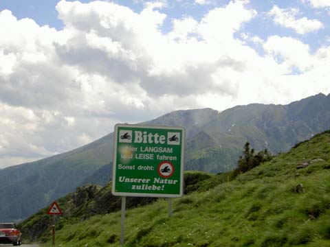 PICT5263