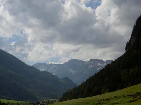 PICT5295