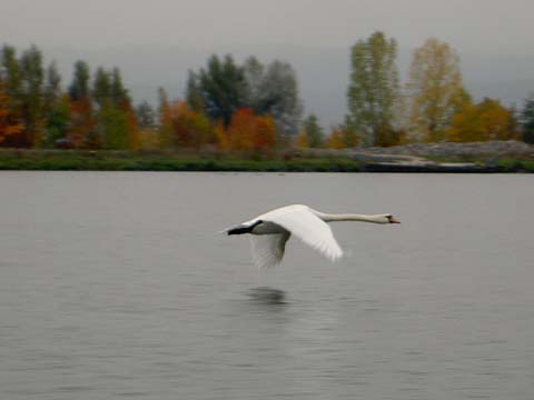 PICT6402