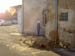PICT2802