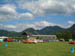CIMG0043