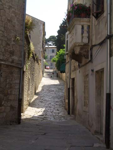 CIMG0343