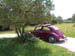 CIMG0272