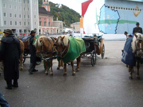 CIMG0582