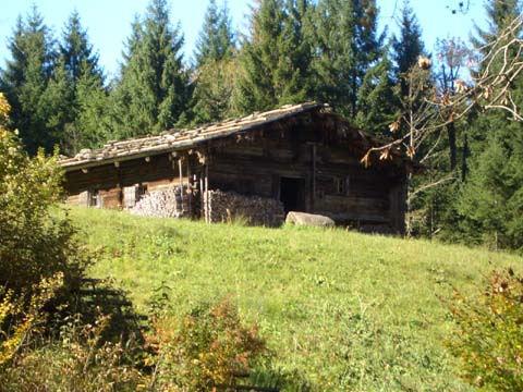 CIMG0695