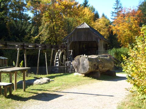 CIMG0701