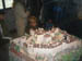 CIMG0497