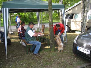 IMG_3121