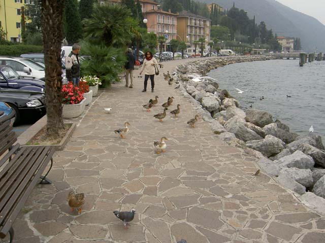 Gardasee_10 (167)