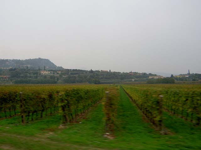Gardasee_10 (202)