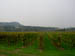 Gardasee_10 (202)