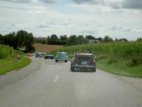 PICT8936