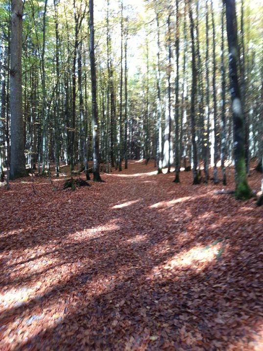 20131013_105408