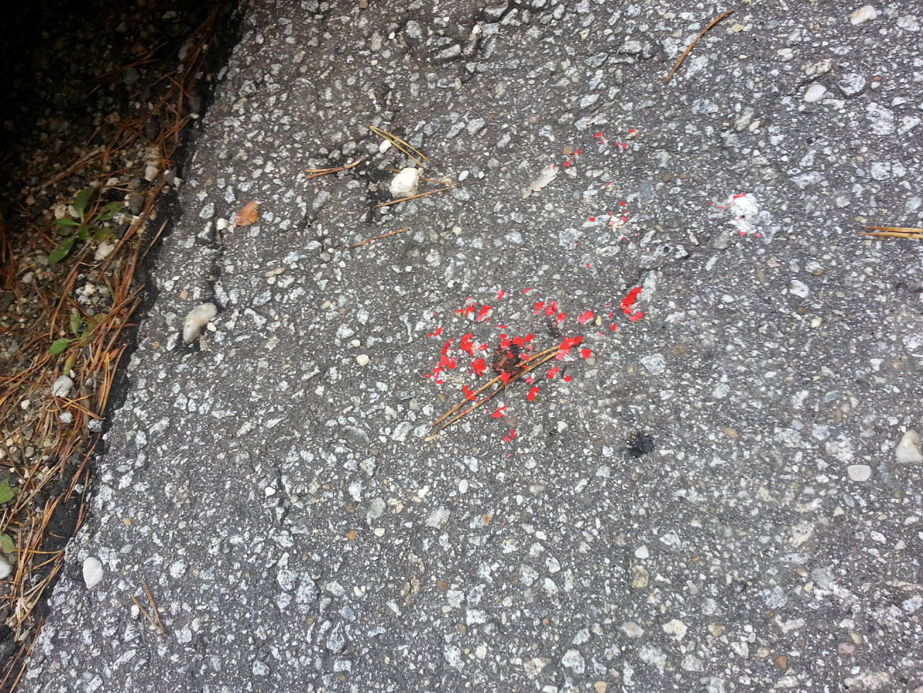 20140927_141657