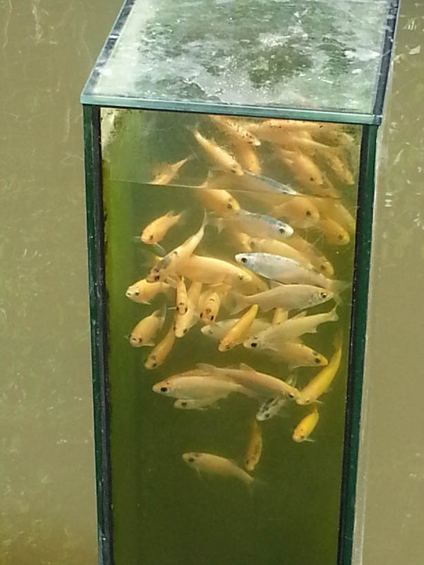 20140607_134502