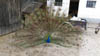 20150523_171625