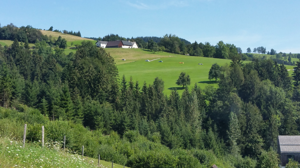 20160814_110933