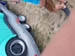 20170708_165342