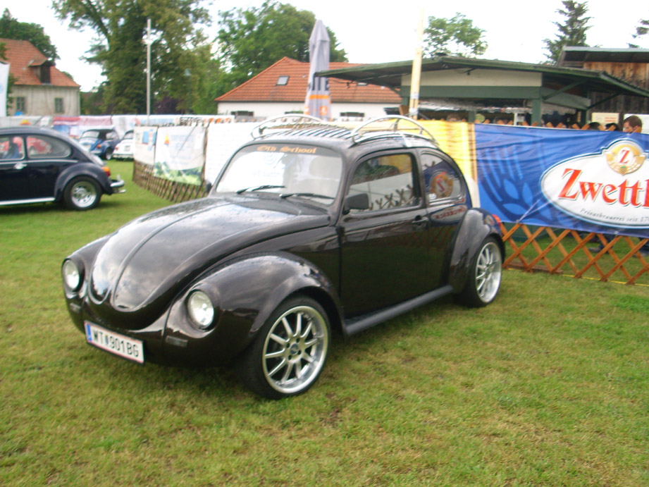 DSCI0897