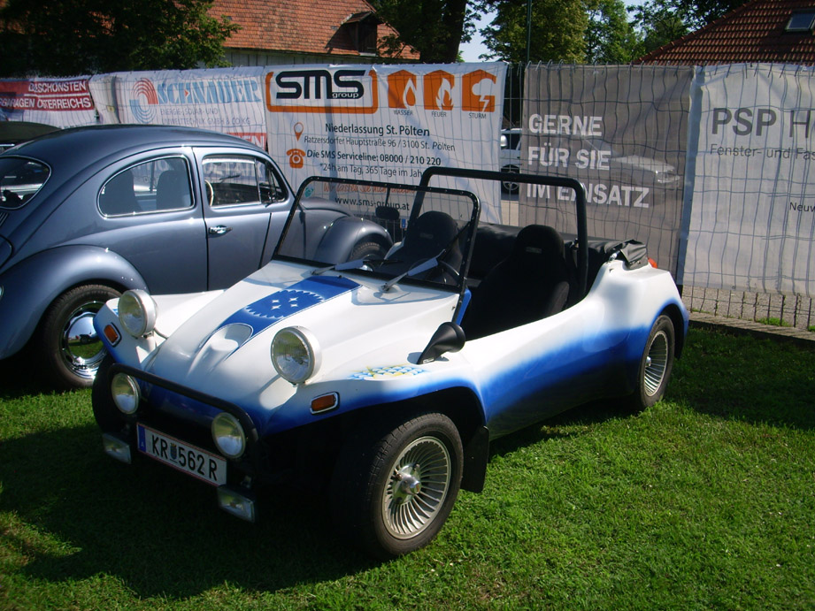 DSCI0943