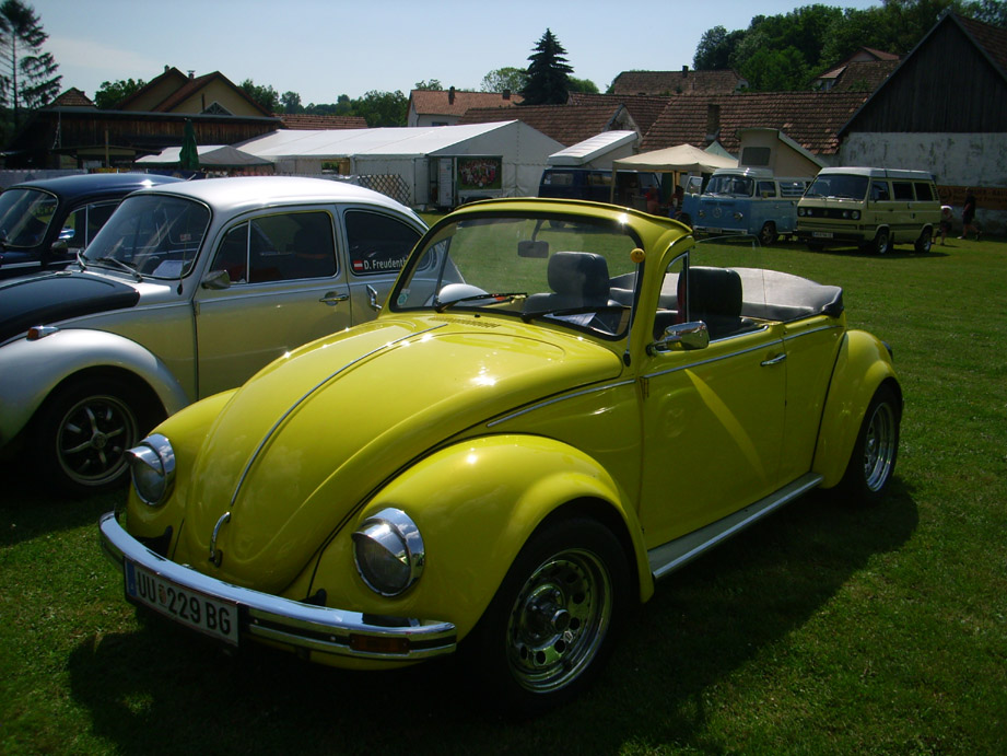 DSCI0958