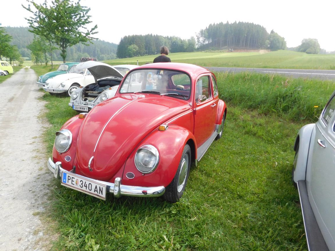 DSCN1733