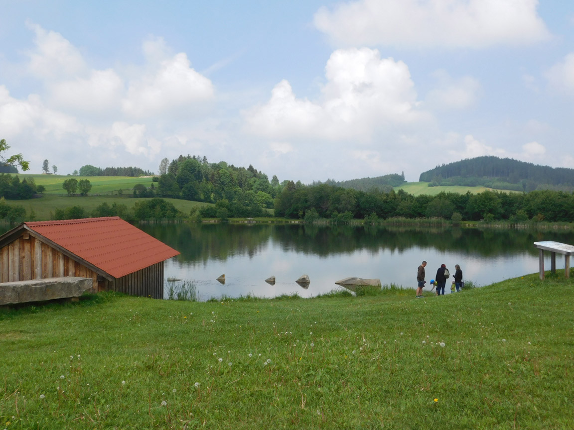 DSCN1850