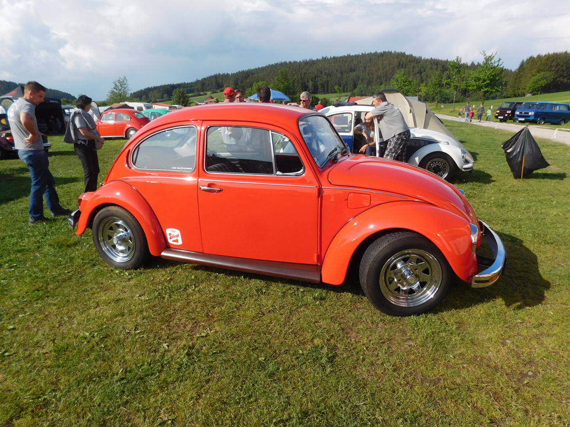 DSCN1919