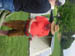 DSCN1883
